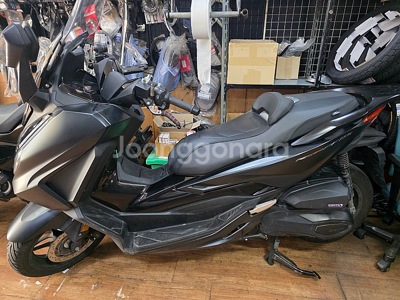 23년식 포르자 350--2